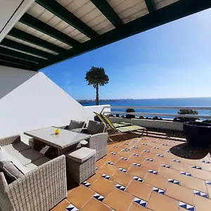 Gaviota Playa Blanca (Lanzarote)